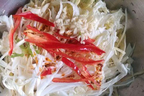 自制美味凉拌白菜食谱（简单易学，清爽口感，营养丰富的凉拌白菜）