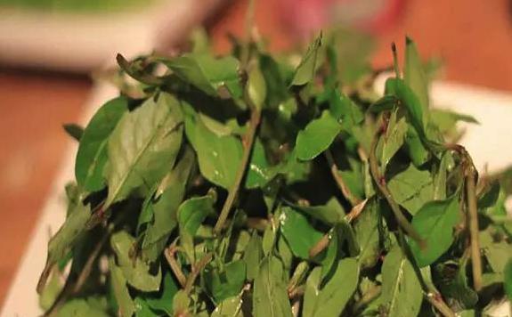 野味美食——野味油炸薄荷（如何制作美味的野味油炸薄荷？）