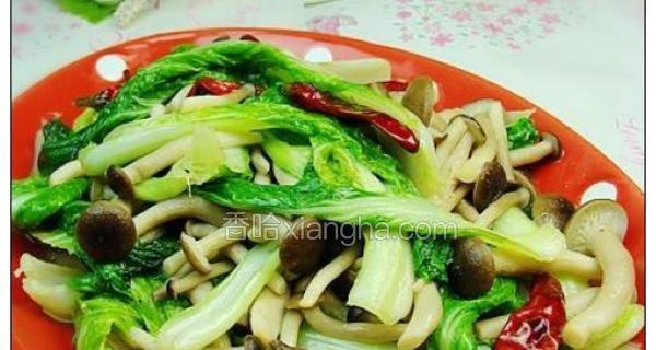 小白菜炒蘑菇，健康美味又简单（家常菜谱，营养丰富的素食美食）