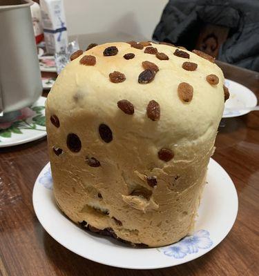 学会制作美味可口的提子卷面包（香甜松软，色香味俱佳的提子卷面包，让你爱不释手）