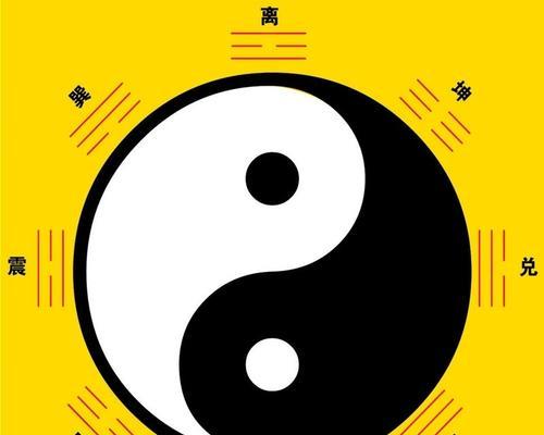 阴阳八卦面美食全解析（从制作到口感，一一为您解答）