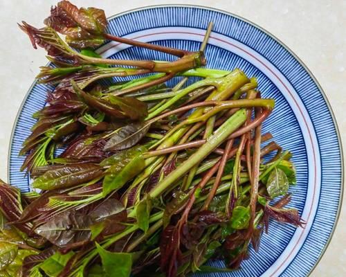 香椿炒豆干，美味又营养的家常菜（用香椿为豆干增添一份清香，吃出健康）
