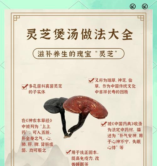 石斛灵芝炖鸡汤，滋补养颜的良方（以中药材为基础，融入鲜美鸡肉的营养精华）