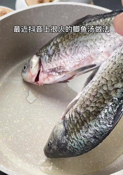 秘制紫菜鲫鱼汤，美味又营养（一道家常菜，让你爱上健康生活）