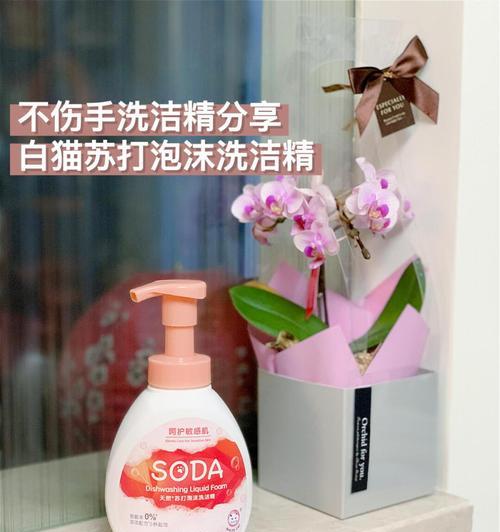 自制无添加不伤手洗洁精——家中必备的环保清洁利器！