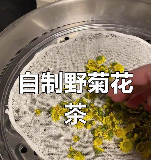 以野菊花茶为主的制作方法（香气四溢，美味可口，如何制作野菊花茶？）