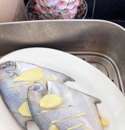 清蒸海鲳鱼的做法（传统的美味海鲜佳肴，家庭也能做到！）