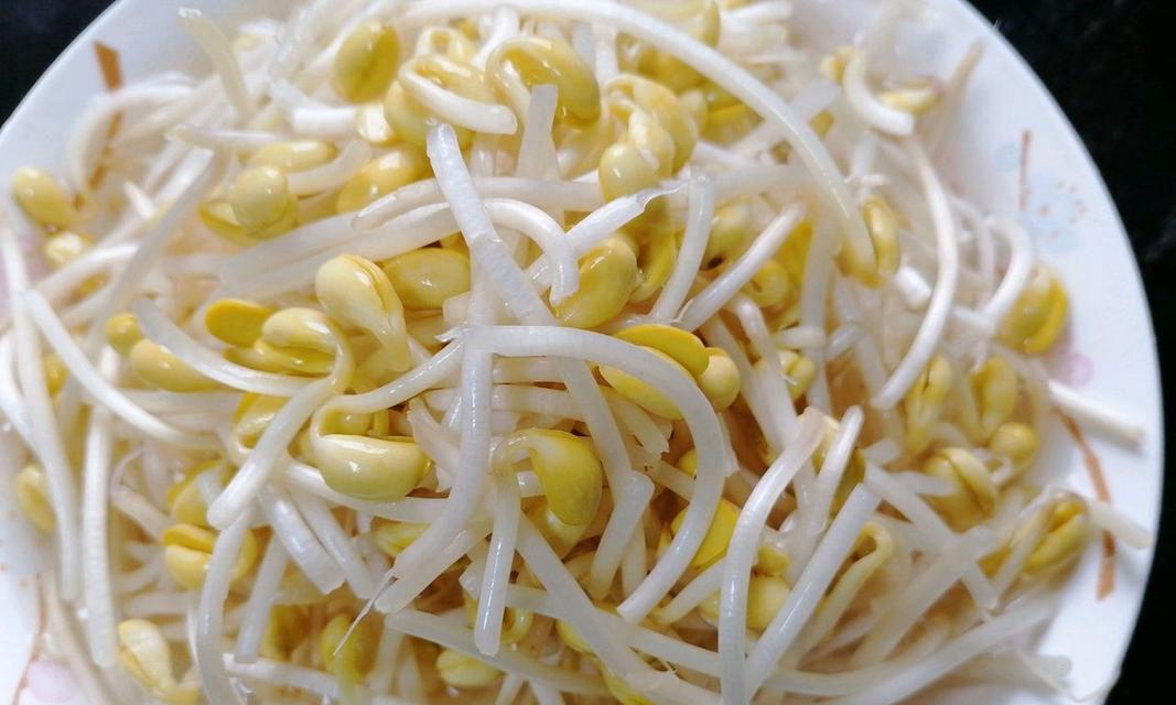 清炒青椒黄豆芽的做法（做法简单，营养丰富，口感清爽）