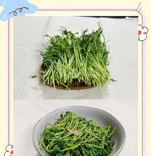 自己在家培育豌豆苗的方法（快乐种植，吃到新鲜）
