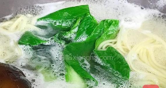 不吃菜也能健康生活——以专治治治治不吃菜的做法为例