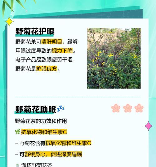 如何制作美味清香的野菊花茶（以野菊花为主料，健康又养生的饮品）