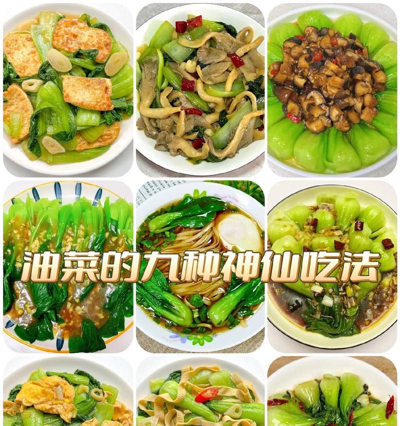 双菇油菜的美味做法（口感鲜美，营养丰富，轻松做出的家常美食）