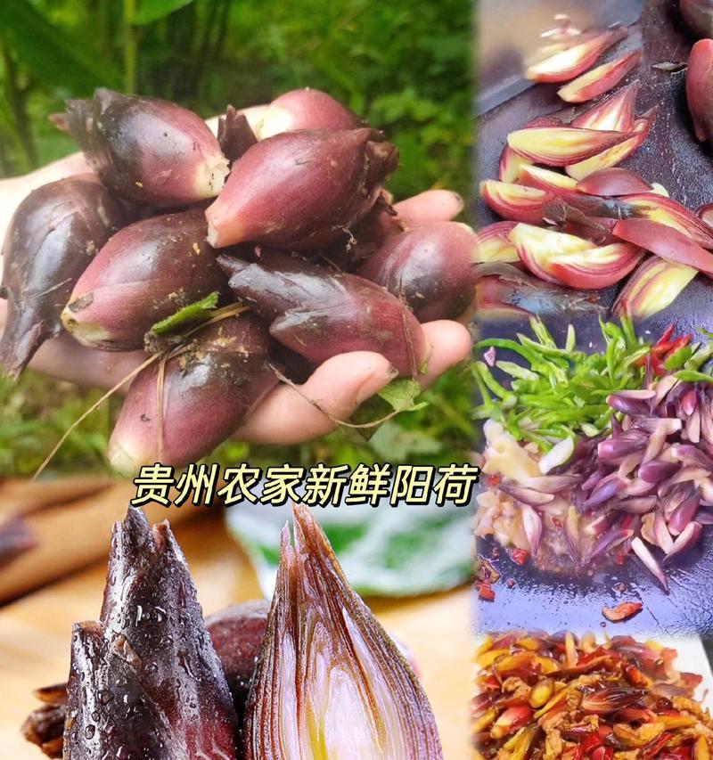 洋荷炒辣椒的做法（辣椒炒洋荷，开胃又美味）